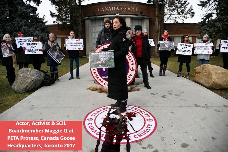 Canada Goose protest