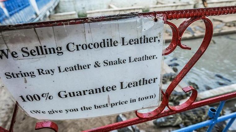 'real' leather