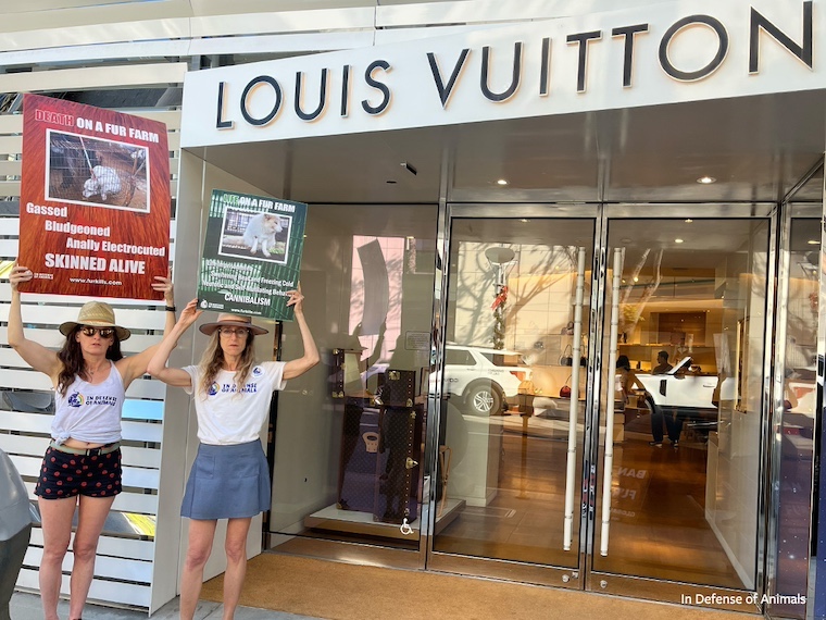 fur free friday protest