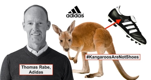 Adidas kangaroo shoes