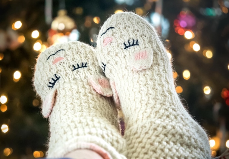 cruelty-free knitting