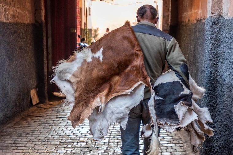 cow skin leather
