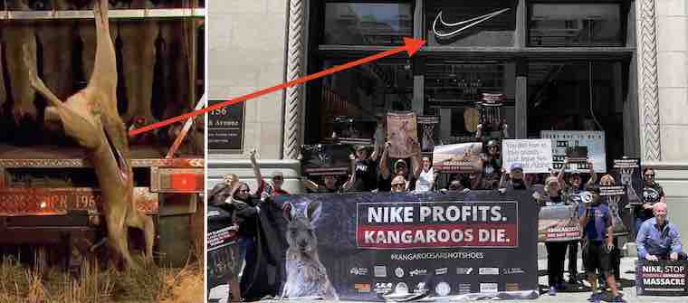 Nike kangaroo skins