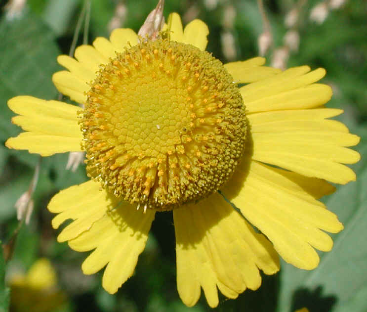 5sep2001-23.jpg (730256 bytes)