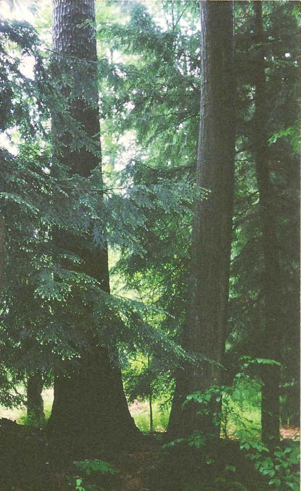 A Brief Look at Where the Lord Lives