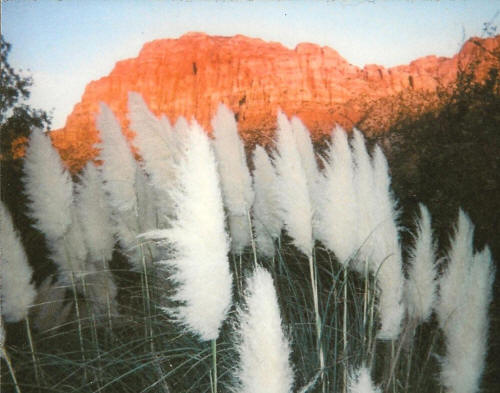 Getting Back God’s Presence and Manifestation