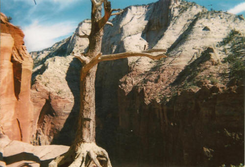 Hey Jew Don't be Afraid