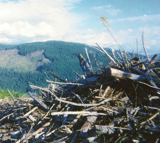 Look What They’re Doing to Your Inheritance-01