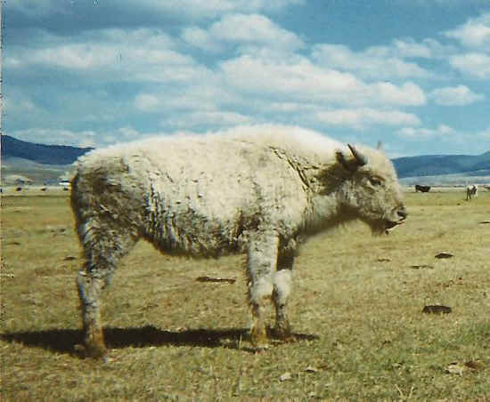 Look What They’re Doing to Your Inheritance-02