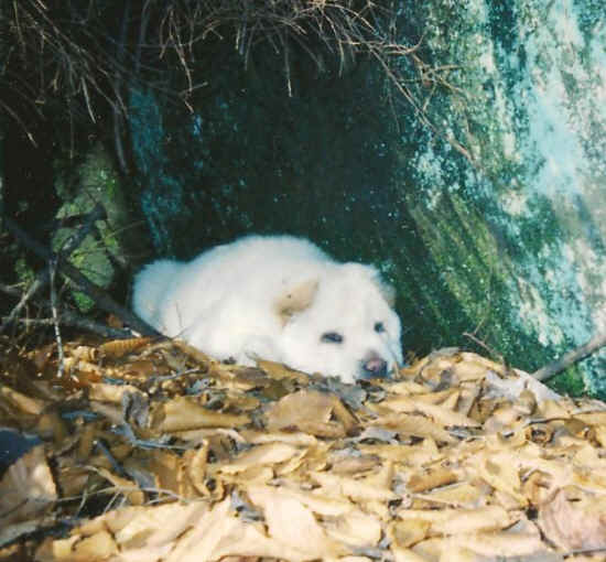 Look What They’re Doing to Your Inheritance-03