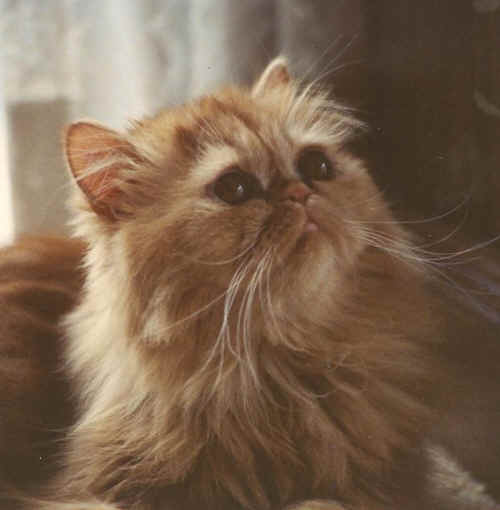 What Good is God's Love?