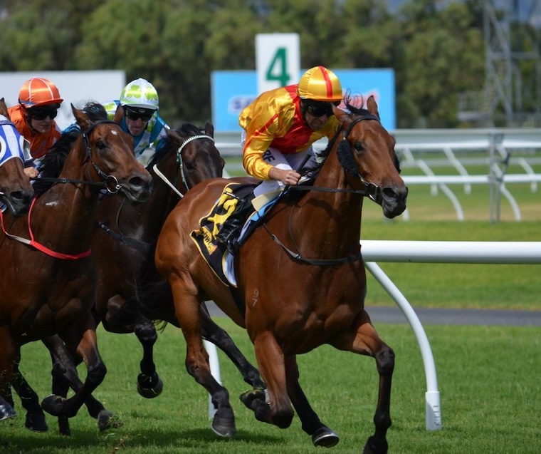 Horse racing