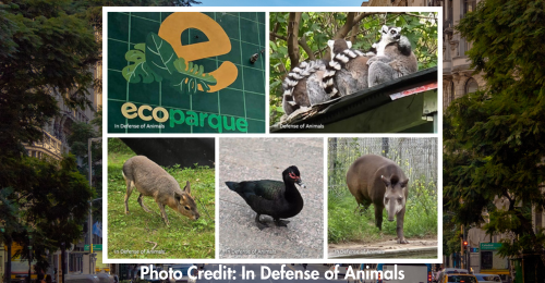 creatures and EcoParque