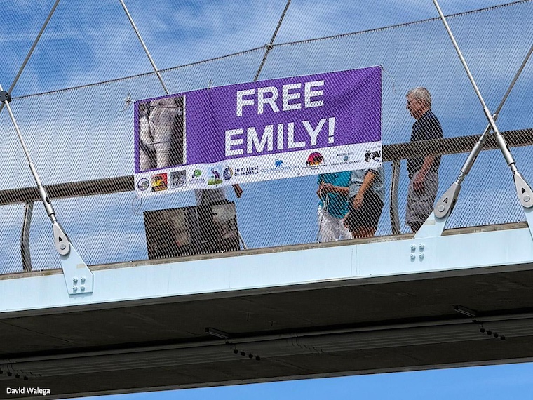 Free Emily! sign