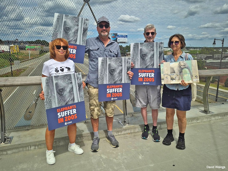 activists with signs