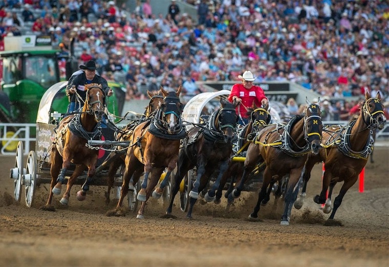 chuckwagon race
