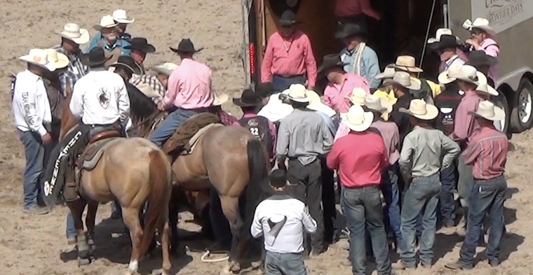 Rodeo cowards