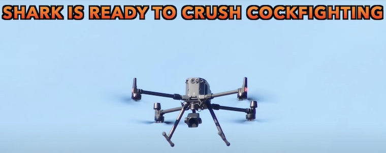 SHARK's drone