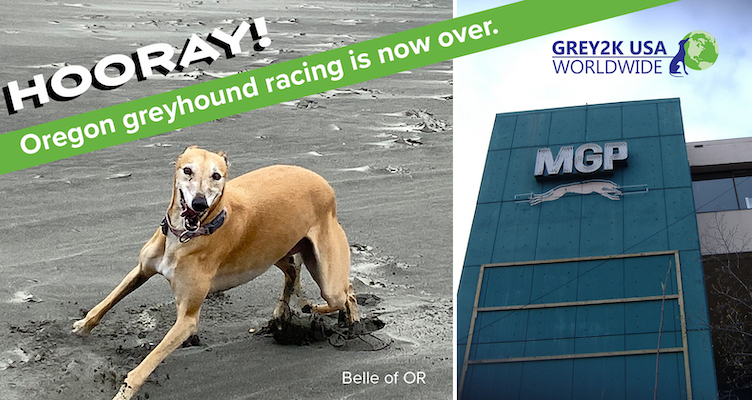 Oregon has become the 42nd state to ban the cruelty of dog racing!
