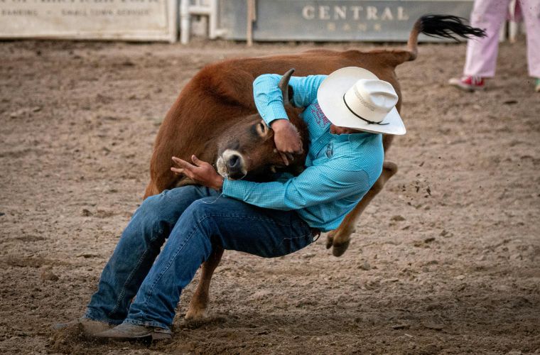 man and bull at rodeo