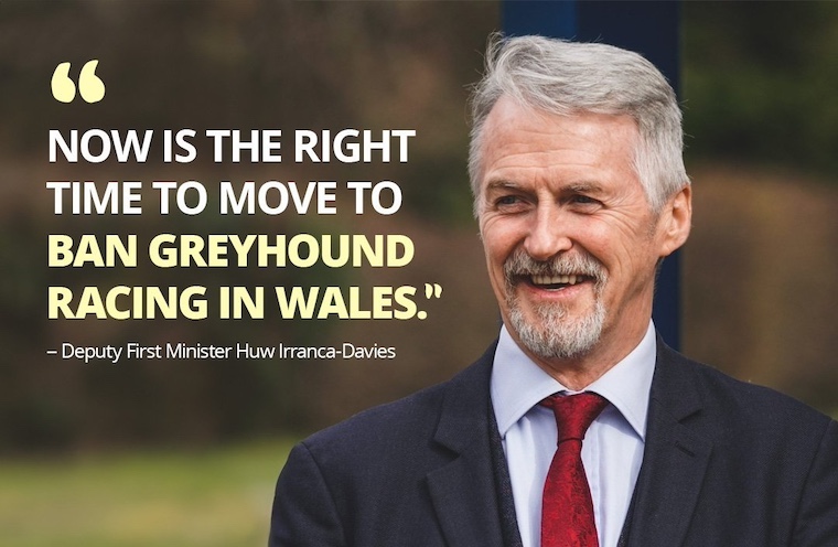 Deputy First Minister Huw Irranca-Davies and quote