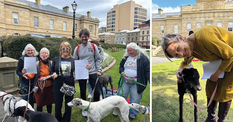 photos of people and greyhounds