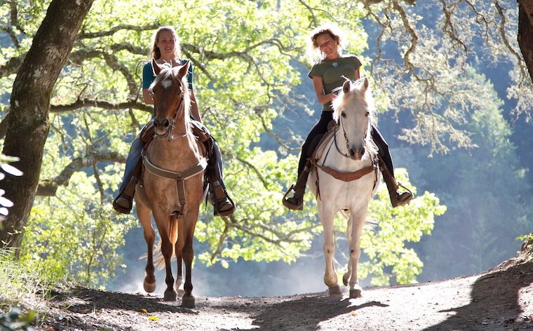 riding horses