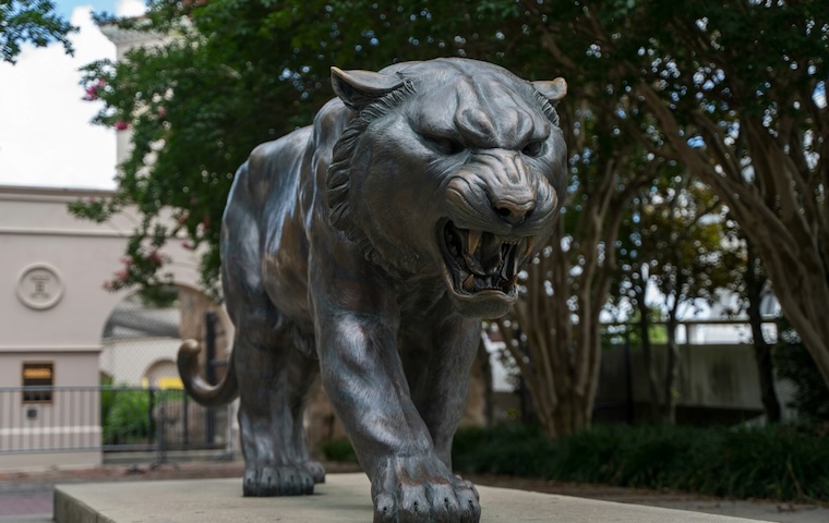 LSU lion statue