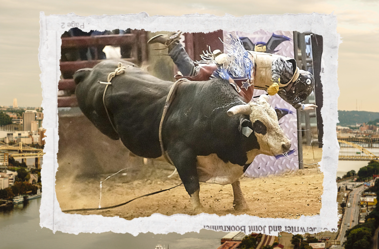 bull being ridden and Pittsburgh