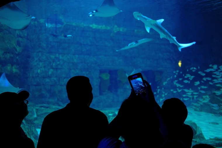 Seaquest Fort Worth
