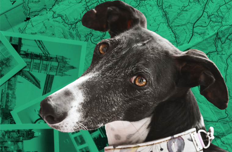 greyhound, map, and photographs