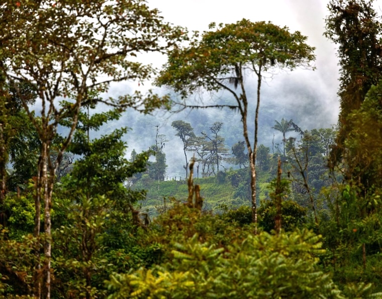 Amazon photo