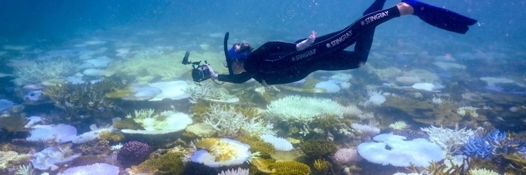 Great Barrier Reef