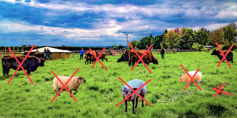 breeding livestock