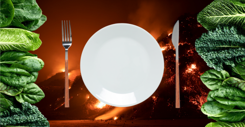 wildfire, leafy greens, and place setting