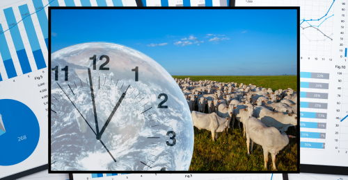 cows, Earth clock, and data sheets