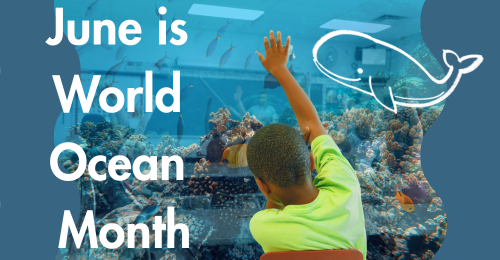 text, student raising hand in classroom, and coral and fishes