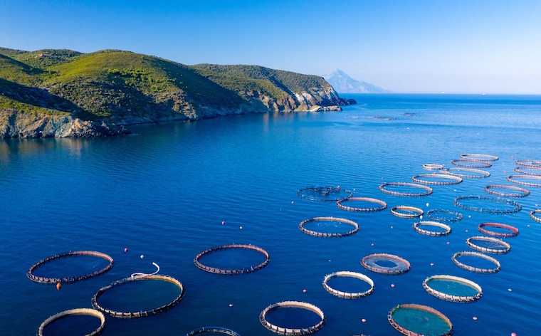 aquaculture