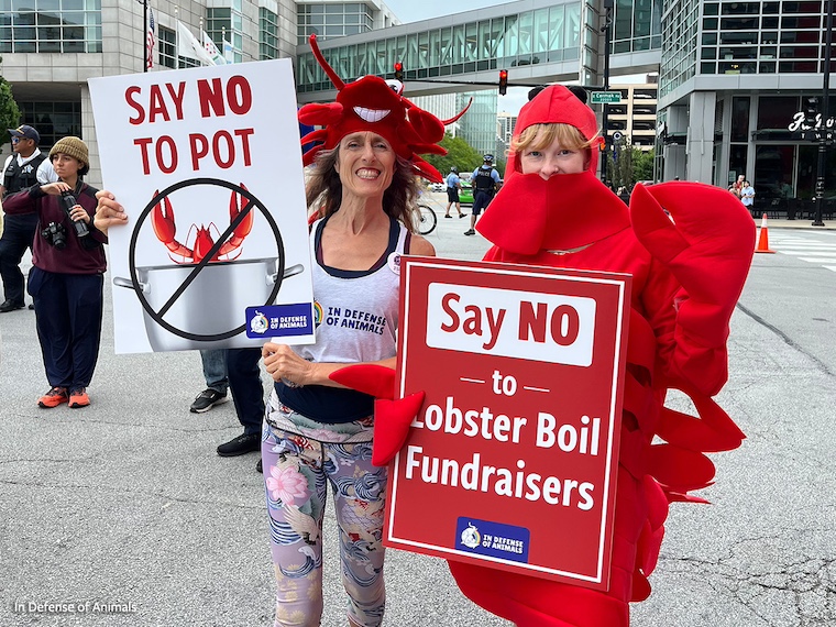lobster boil protest