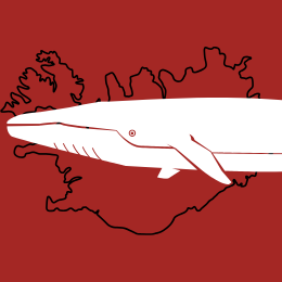 fin whale graphic and outline of Iceland