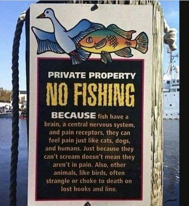 no fishing sign