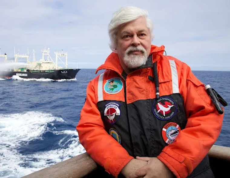 Captain Paul Watson