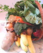 masthead-right