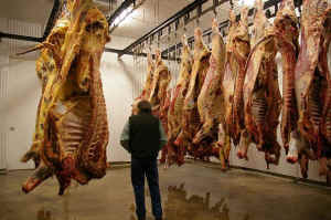 USDA health risk Meatonomics