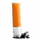 animal protein tobacco