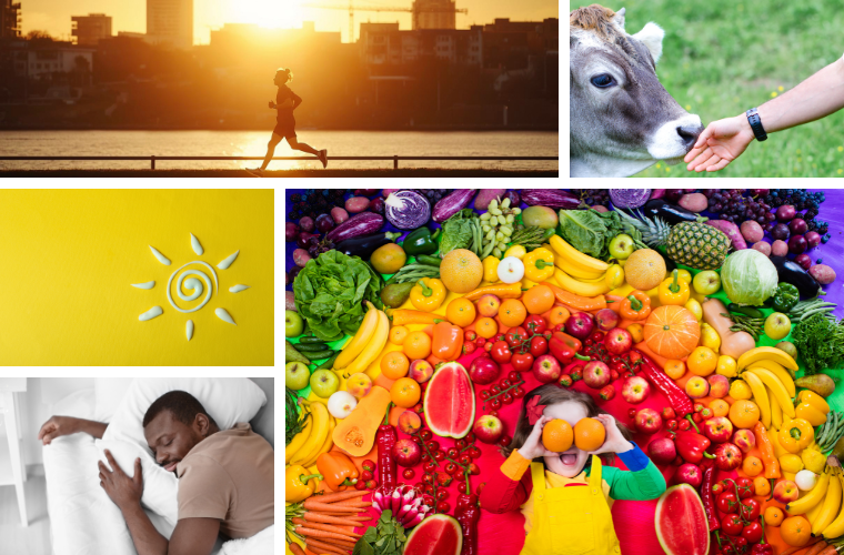 exercise, sunscreen, sleeping, cow, fruits and veggies