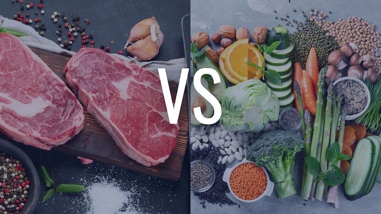 meat vs veggie proteins