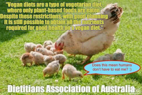 what every vegan needs to know