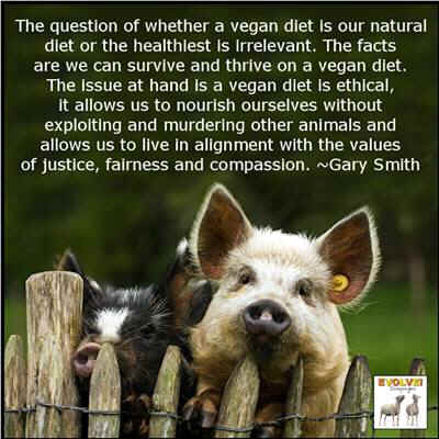 what every vegan needs to know