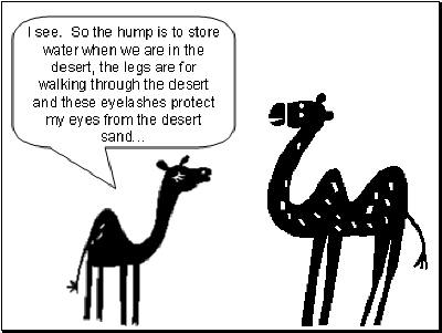 aboutcamels-06